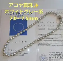 アコヤ真珠 ネックレス ホワイトグレー 7.0〜7.5mm鑑定証付き