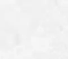 ゆりリリ様専用