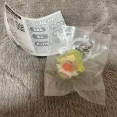 JOCHUM めじるしアクセサリー もこ 大平祥生