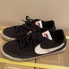 Item thumbnail for item 244b1602-2c67-4885-b6a0-f0d3c4ec8365