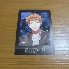 ゆ*う様 ヒプマイ　ぱしゃこれ箔押し(理鶯)