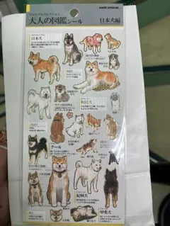 moochico様 リクエスト 3点 まとめ商品