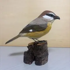 リアルバードカービング　野鳥「モズ」　野鳥彫刻　木彫り野鳥　ハンドメイド　一点物 野鳥モズ バードカービング 木彫りの野鳥 リアル野鳥彫刻 ハンドメイド