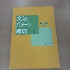 【最新版・新品・未使用】文法パターン錬成・オリジナルテキストセット 2026年最新】文法パターン錬成の人気アイテム - メルカリ