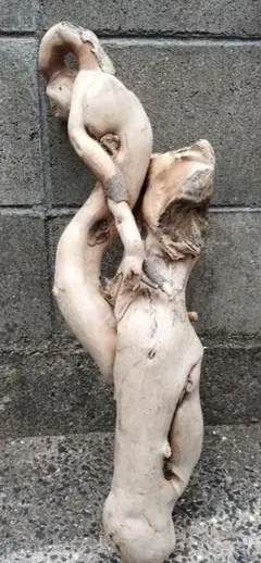 流木無加工　彫刻等の素材