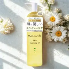 Item thumbnail for item 4f0d79d5-e781-407c-b8e1-c202392cf16b