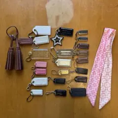 COACH/コーチ　バッグチャーム　アクセサリー　キーホルダー　セット　21