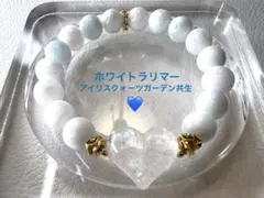 高品質トルマリン ♡ アイリスクォーツガーデン共生ハート 