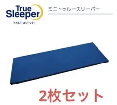 2026年最新】トゥルースリーパー ミニの人気アイテム - メルカリ