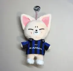 FoxI.Ny KARMA