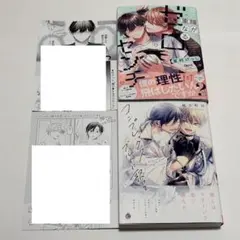 商業BL2冊セット リーフレット付き