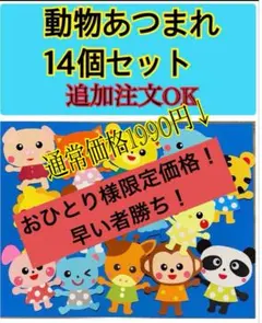 壁面　動物　一年　通年　年間　誕生日表　飾り　春夏秋冬　保育園　幼稚園　施設