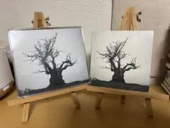 ＊いまゆき＊様 リクエスト 4点 まとめ商品