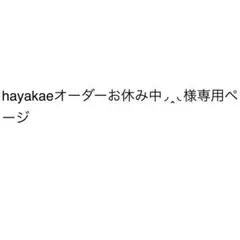 hayakaeオーダーお休み中◞‸◟様専用ページ　3点
