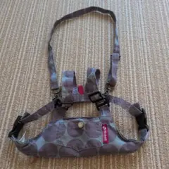 Item thumbnail for item f909d1f1-4a4a-4249-b948-9e895b119b9b