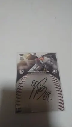 Item thumbnail for item 285a6c93-c67d-4034-acaa-bbf68a7fbee9