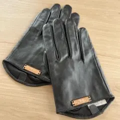 Item thumbnail for item f70228fc-d5e8-4705-97f0-5502f8223971