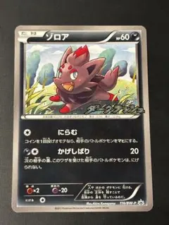 ゾロア PROMO BW-Pプロモカード 116/BW-P