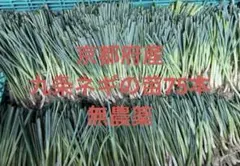 2025年最新】九条ネギの人気アイテム - メルカリ
