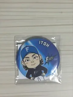 伊藤大海 応援グッズ