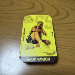 群馬クレインサンダーズ 谷口大智 クッションキーホルダー ガチャ SR