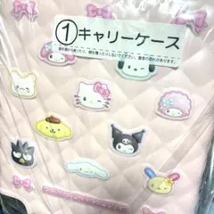 サンリオ 当たりくじ キャリーケース ラストワン賞 アップリケクッション サンリオ 当たりくじ キャリーケース ラストワン賞 アップリケ