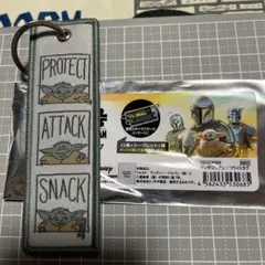 スターウォーズ マンダロリアン フライトタグ