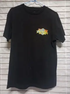 SANTA CRUZ　AIR JAM 2018　Ｔシャツ　Ｍ　古着