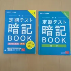 ミカン様 リクエスト 2点 まとめ商品