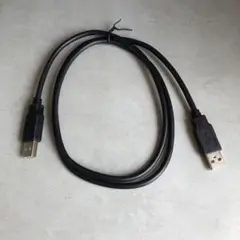 USB 2.0 ケーブル (A - A コネクタ) オス/オス 1m