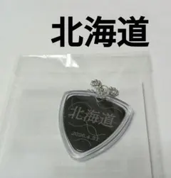 ポルノグラフィティ　2日目 4.21 ピックキーホルダー 北海道札幌会場限定のサムネイル