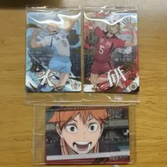ハイキューウエハースキャラクターカードセット