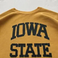 収まりearth様専用 カラシ色80's90's チャンピオン リバースウィーブ