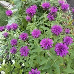 ♡のんちゃん♡様 リクエスト 2点 まとめ商品