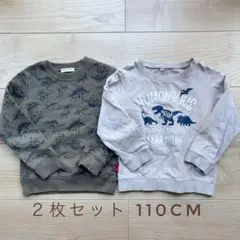 トレーナー ２枚セット 恐竜