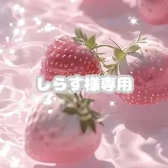 しらす様専用ページ