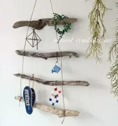 【流木】ラダー　4本　ディスプレイ　オブジェ