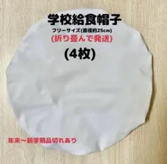 Item thumbnail for item bacdd416-89cb-4ea3-876c-6e4c4b732105