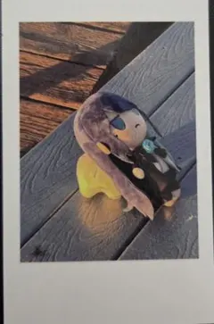 2025年最新】ado チェキ シークレットの人気アイテム - メルカリ