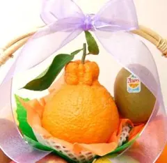 Amanatsu様専用です♡