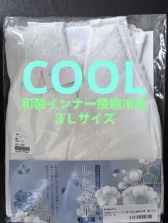 きものすなお しとや華 和装ブラジャーとショーツセット 勿忘草 XL