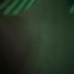 Kk