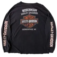 2025年最新】フレイム ロンtの人気アイテム - メルカリ