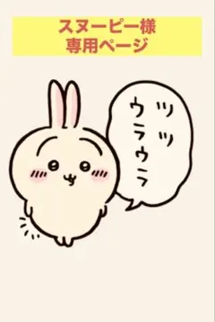 スヌーピー様 専用 リクエスト 2点 まとめ商品