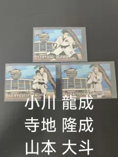 千葉ロッテ マリーンズ 夏祭 ステッカー 3種類セット