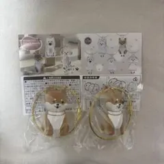 わんこのタイムカプセル まめ 柴犬 うちの子のけだまだま