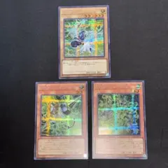 サイフレームギアγ PSYフレームドライバー シークレット シク 各1枚 遊戯王