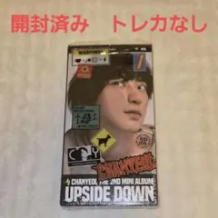 チャニョル UPSIDE DOWN Selfie ver 開封済み トレカ等なし - メルカリ