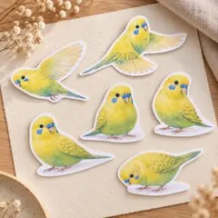 【ダイカットメモ】セキセイインコ（黄）30枚セット