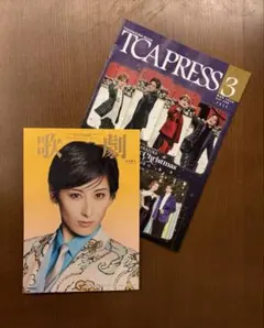 2026年最新】宝塚チケット封筒の人気アイテム - メルカリ